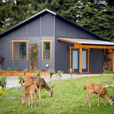 New, Modern, Country-Feel, Close To Arcata Extérieur photo