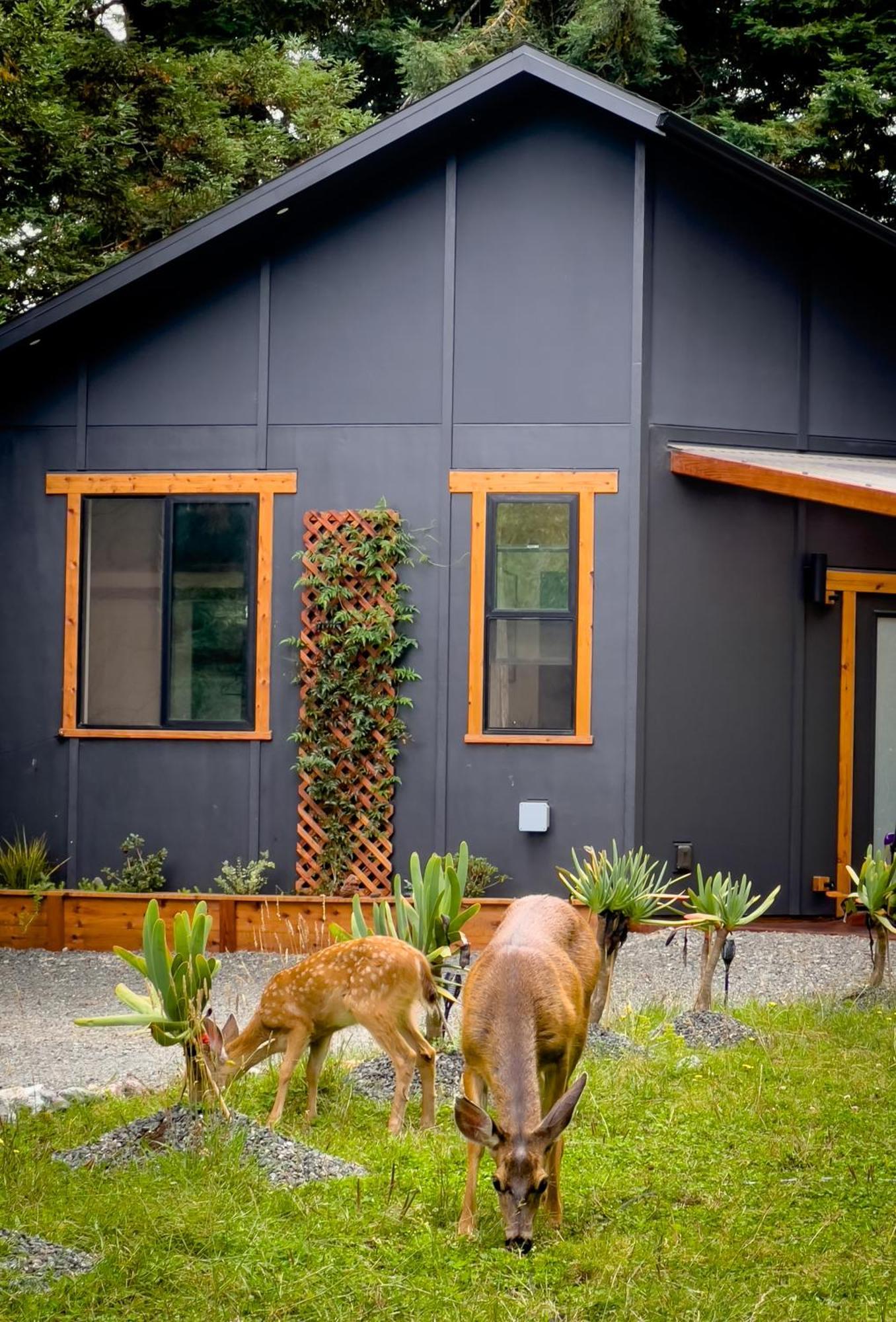New, Modern, Country-Feel, Close To Arcata Extérieur photo