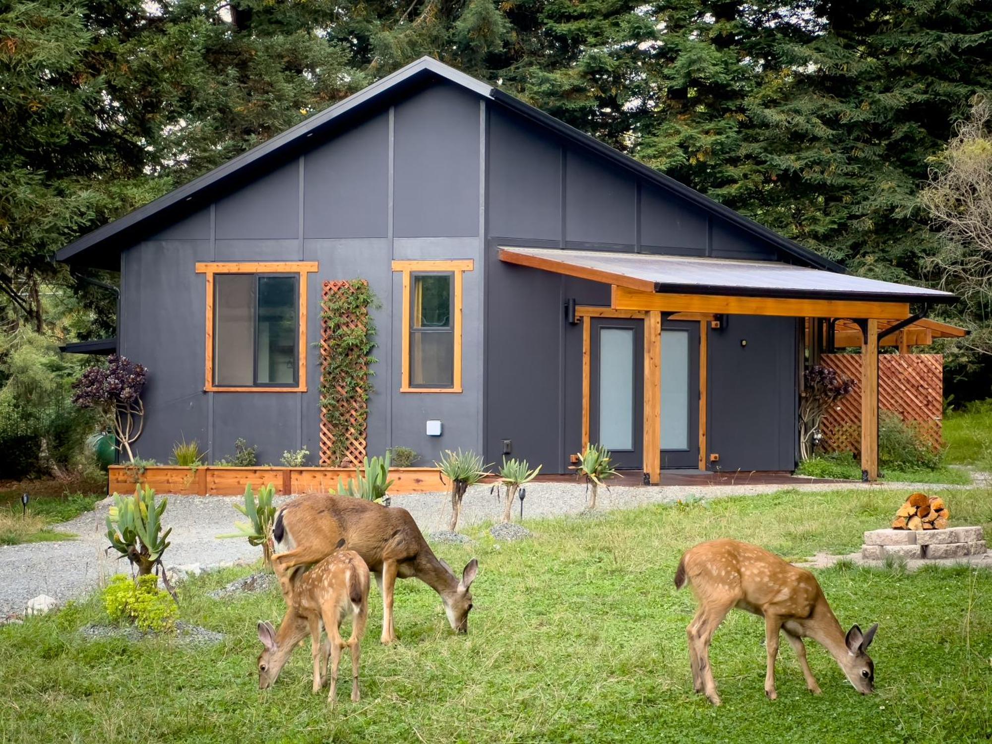 New, Modern, Country-Feel, Close To Arcata Extérieur photo